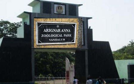 arignar-anna-zoological-park