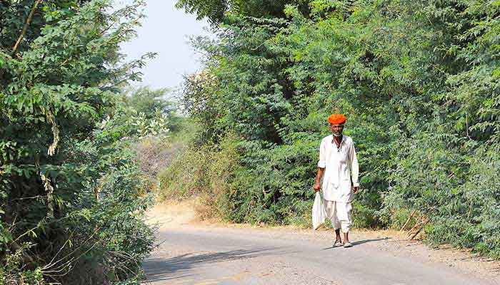 jodapur-tour-packages